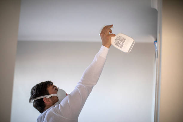 Best Basement Mold Remediation in Portland, MI